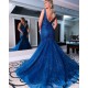 Elegant Lace and Tulle Prom Dress Formal Evening Gowns 901509