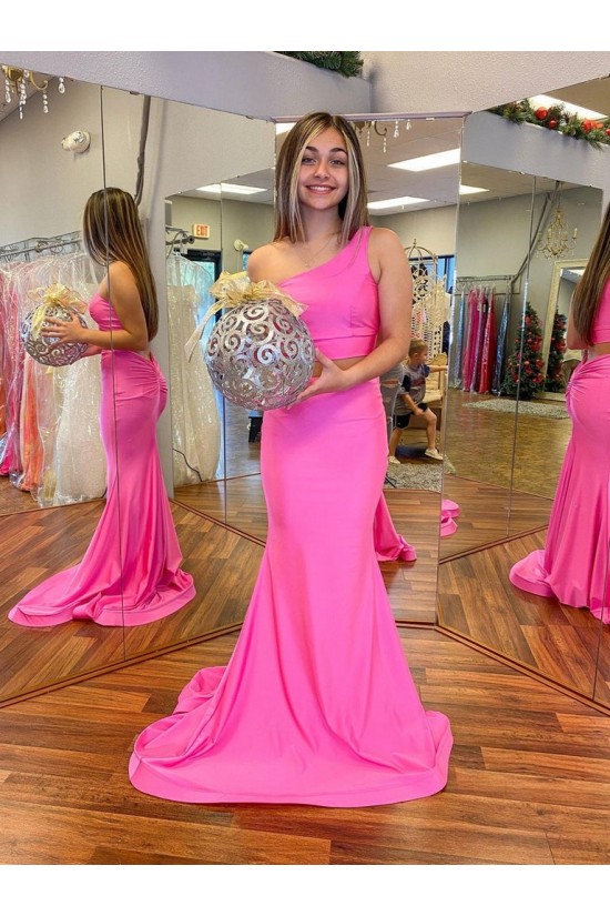 Long Pink Two Pieces Mermaid Prom Dresses Formal Evening Gowns 901667 Long Pink Two Pieces Mermaid Prom Dresses Formal Evening Gowns 901667