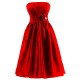 A-Line Strapless Short Bridesmaid Dresses/Wedding Party Dresses BD010105 A-Line Strapless Short Bridesmaid Dresses/Wedding Party Dresses BD010105
