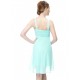 Empire Short Blue Chiffon Bridesmaid Dresses/Wedding Party Dresses/Maternity Dresses BD010212