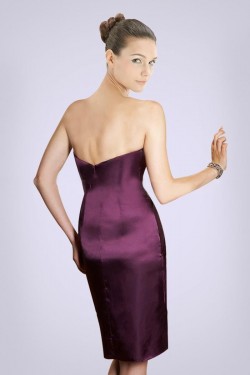 Short/Mini Strapless Bridesmaid Dresses/Wedding Party Dresses BD010431