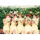 A-Line Sweetheart Short Yellow Chiffon Bridesmaid Dresses/Evening Dresses BD010504