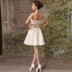 A-Line Strapless Short Bridesmaid Dresses/Evening Dresses BD010597 A-Line Strapless Short Bridesmaid Dresses/Evening Dresses BD010597