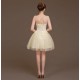 A-Line Beaded Tulle Short Bridesmaid Dresses/Evening Dresses BD010618 A-Line Beaded Tulle Short Bridesmaid Dresses/Evening Dresses BD010618