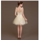 A-Line Short Tulle Bridesmaid Dresses/Evening Dresses BD010620 A-Line Short Tulle Bridesmaid Dresses/Evening Dresses BD010620