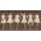 A-Line Short Tulle Bridesmaid Dresses/Evening Dresses BD010621