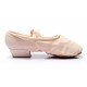 Women's Pink Canvas Dance Shoes Ballet/Latin/Yoga/Dance Sneakers Canvas Flat Heel D604002