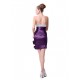 Strapless Short Prom Evening Formal Party Dresses ED010231