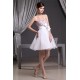 Satin Organza A-Line Strapless Sleeveless Prom/Formal Evening Dresses 02021123