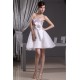 Satin Organza A-Line Strapless Sleeveless Prom/Formal Evening Dresses 02021123