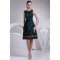 A-Line Scoop Sleeveless Satin Lace Prom/Formal Evening Dresses 02021130