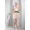 Short/Mini One-Shoulder Sleeveless A-Line Prom/Formal Evening Dresses 02021173
