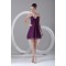 Short/Mini Ruffles A-Line V-Neck Sleeveless Prom/Formal Evening Dresses 02021508