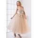 Ankle-Length A-Line Sleeveless Prom/Formal Evening Dresses 02020781 Ankle-Length A-Line Sleeveless Prom/Formal Evening Dresses 02020781