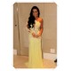 One Sleeve Long Yellow Lace Appliques See Through Prom Evening Formal Dresses 3020100 One Sleeve Long Yellow Lace Appliques See Through Prom Evening Formal Dresses 3020100