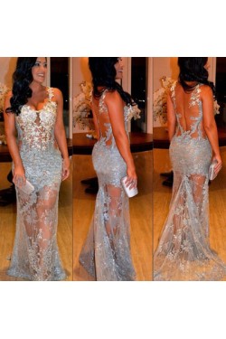 Long Silver Lace Prom Formal Evening Party Dresses 3021171