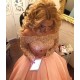 Ball Gown Off-the-Shoulder Long Sleeves Lace Prom Formal Evening Party Dresses 3021525 Ball Gown Off-the-Shoulder Long Sleeves Lace Prom Formal Evening Party Dresses 3021525