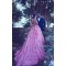 Ball Gown Lace Long Pink Prom Dresses Party Evening Gowns 3020260
