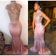 Mermaid High Neck Long Prom Evening Dresses with Lace Appliques 3020589 Mermaid High Neck Long Prom Evening Dresses with Lace Appliques 3020589