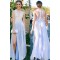 Elegant Illusion Neckline Lace Chiffon Long Prom Evening Party Dresses 3020695