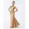 Trumpet/Mermaid Beaded Lace and Chiffon Long Mother of the Bride Dresses M010027