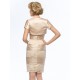 Short Strapless Lace and Satin Mother of the Bride Dresses with A Jacket M010067 Short Strapless Lace and Satin Mother of the Bride Dresses with A Jacket M010067