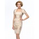 Short Strapless Lace and Satin Mother of the Bride Dresses with A Jacket M010067 Short Strapless Lace and Satin Mother of the Bride Dresses with A Jacket M010067