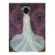 Trumpet/Mermaid Chapel Train Lace Bridal Gown Wedding Dress WD010459