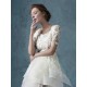 High Low Short Sleeves Lace Tulle Wedding Dresses Bridal Gowns 3030173 High Low Short Sleeves Lace Tulle Wedding Dresses Bridal Gowns 3030173